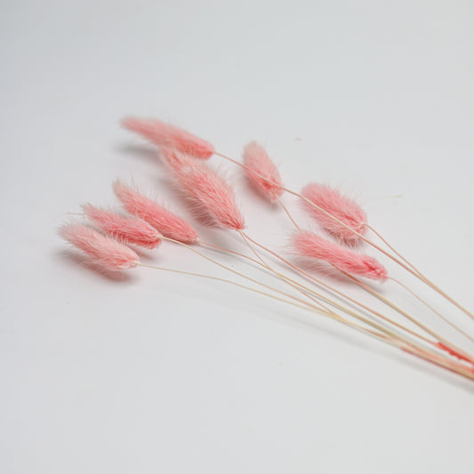 Pink Bunny Tails - 10 Sticks