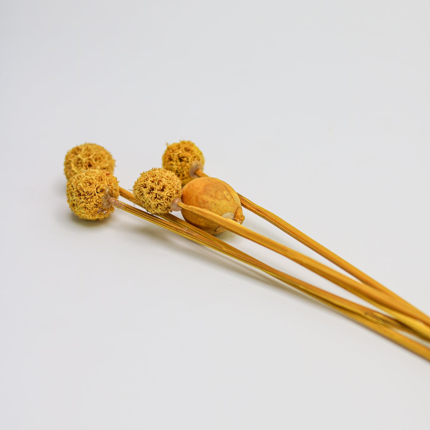 Yellow Fruit Balls - 5 Sticks